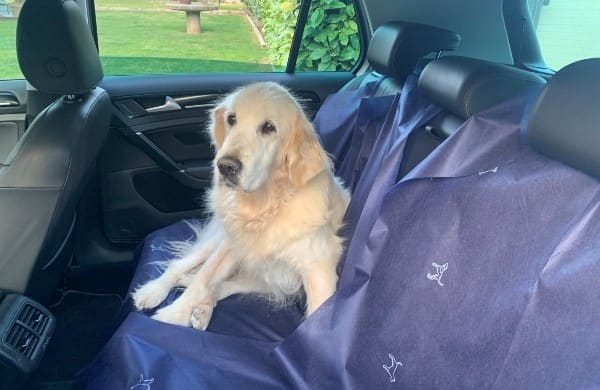 Protector de coche para mascotas